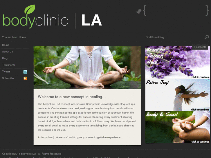 www.bodyclinicla.com