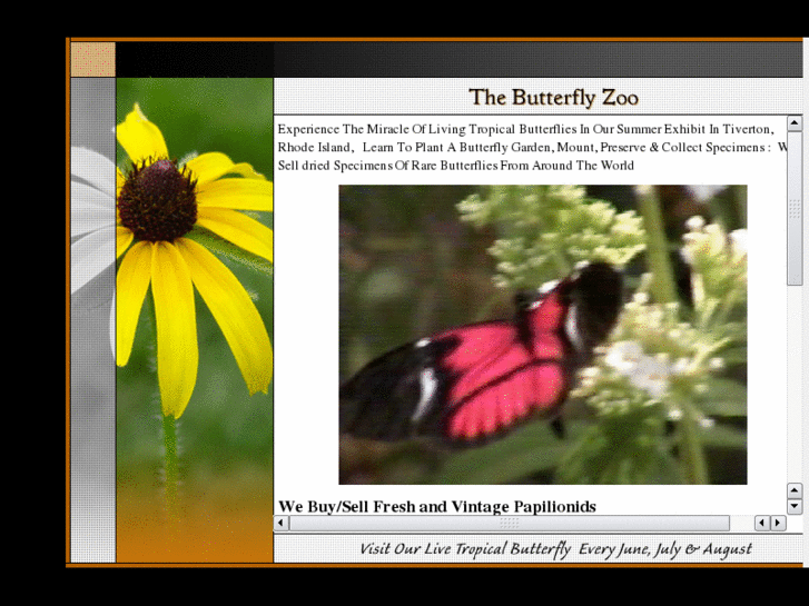 www.butterflyzoo.com