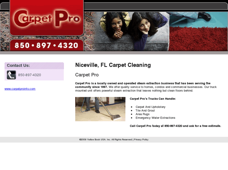 www.carpetcleaningniceville.com