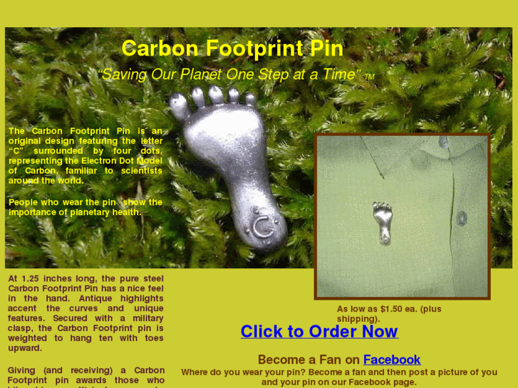 www.footpin.com