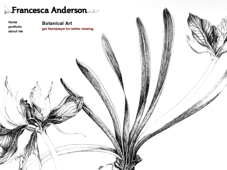 www.francescaanderson.com