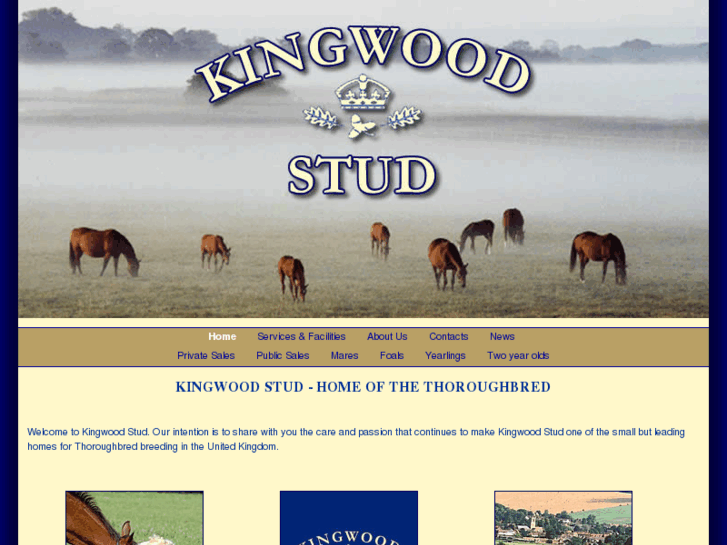 www.kingwoodstud.com