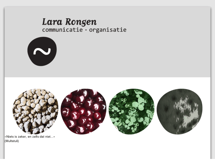 www.lararongen.com