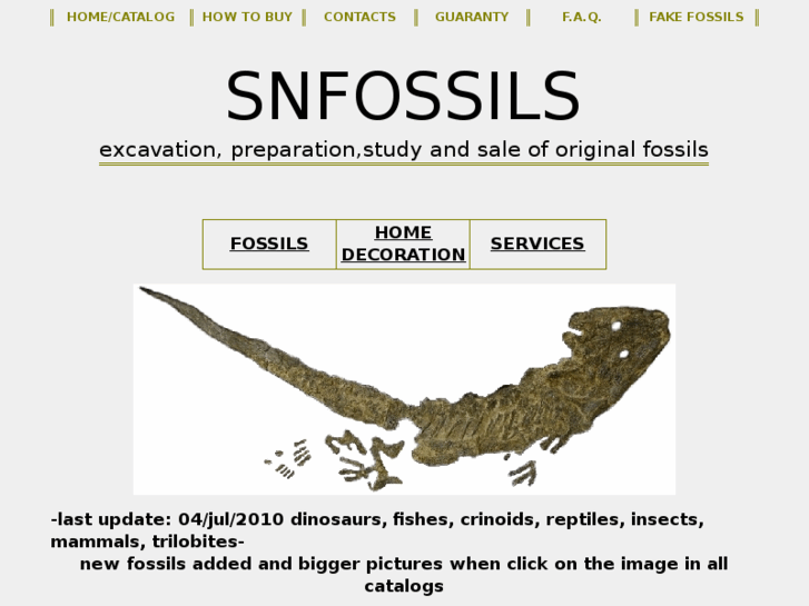 www.snfossils.com