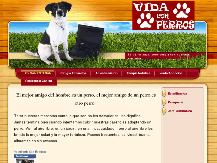 www.vidaconperros.com