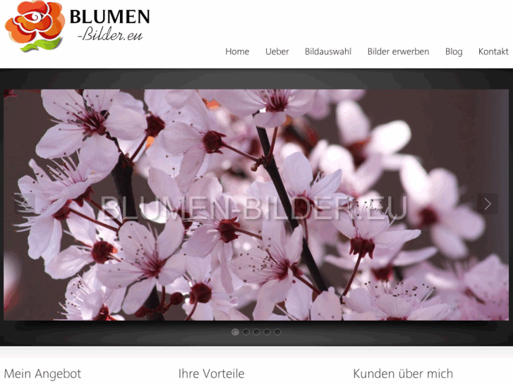 www.blumen-bilder.eu