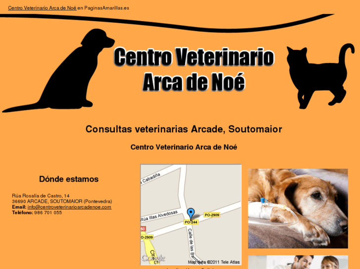 www.centroveterinarioarcadenoe.com