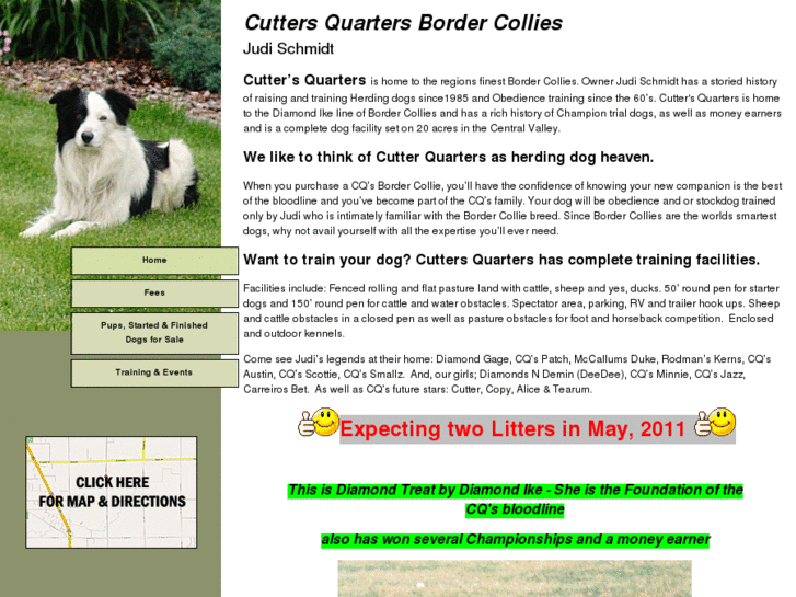 www.cqbordercollies.com