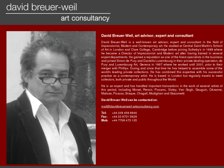 www.davidbreuerweil-artconsultancy.com