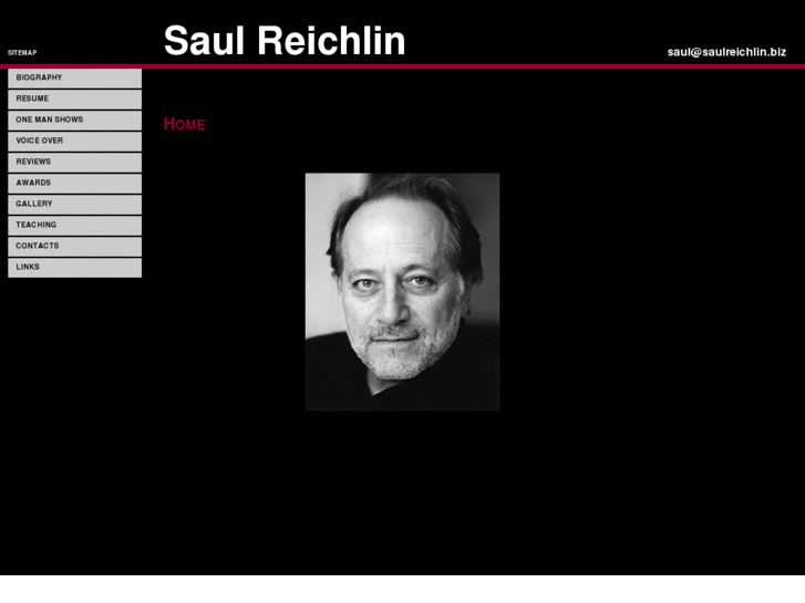 www.saulreichlin.biz