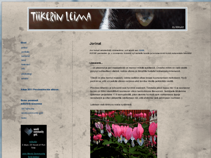 www.tiikerinleima.net