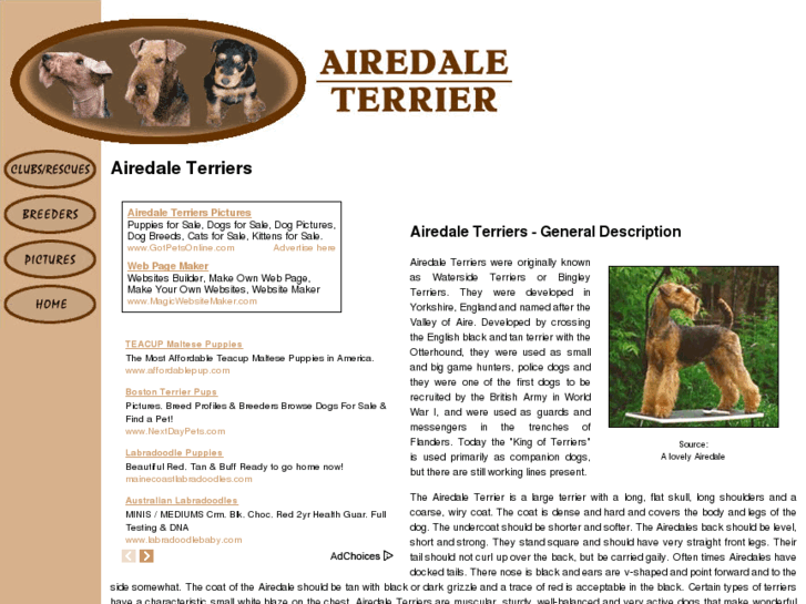 www.airedale-terrier-dogs.com