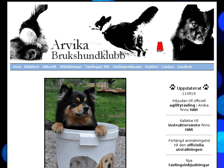 www.arvikabrukshundklubb.se