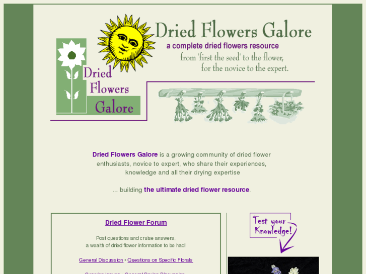 www.dried-flowers-galore.com