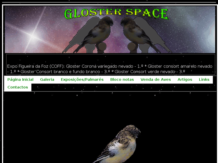 www.glosterspace.com