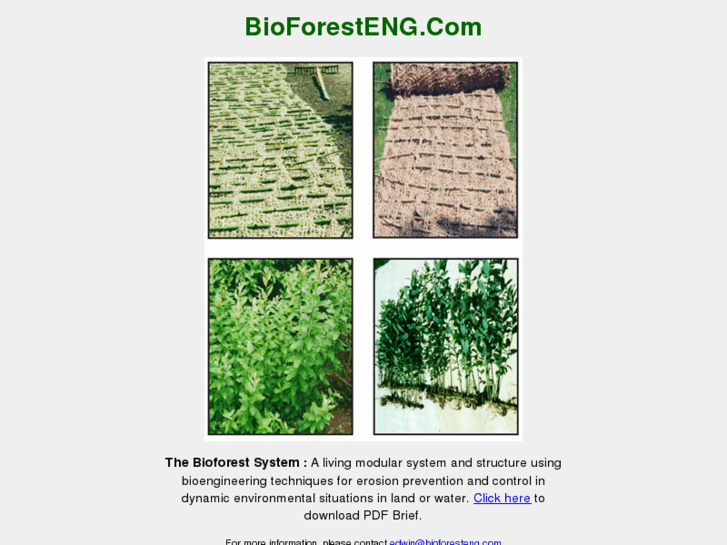 www.bioforesteng.com