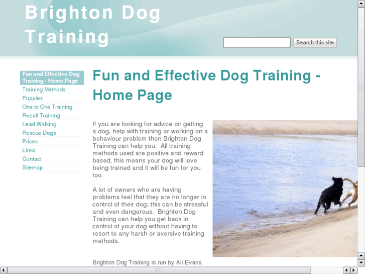 www.brightondogtraining.com