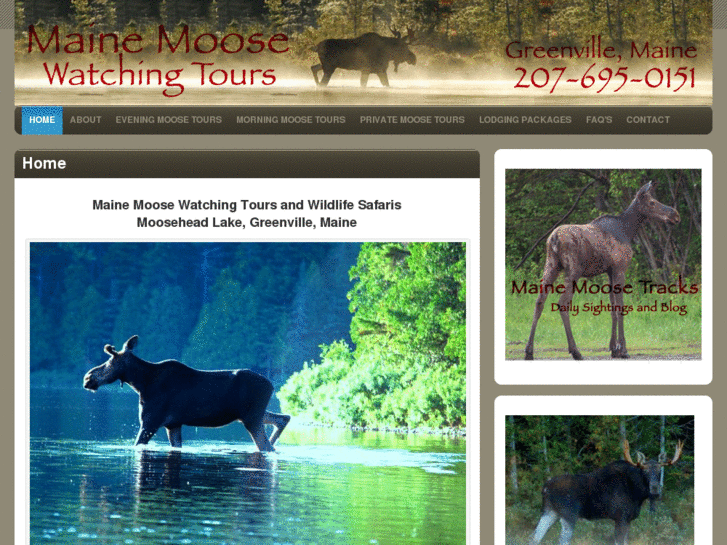 www.mainewildlifetours.com