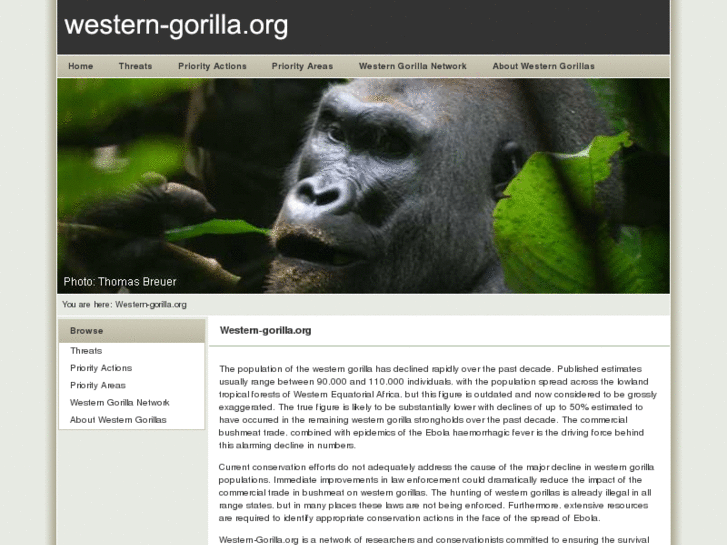 www.western-gorilla.org