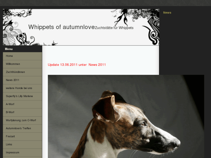 www.autumnlove-whippets.ch