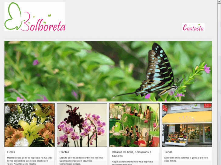 www.floristeriabolboreta.es