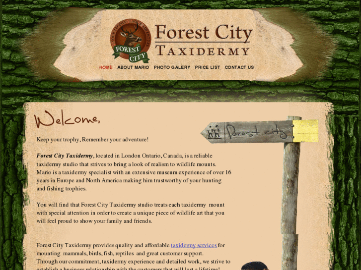 www.forestcitytaxidermy.com