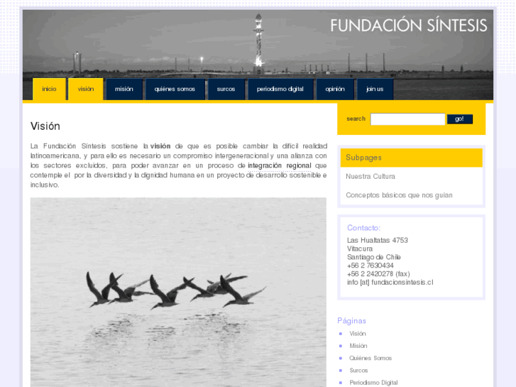 www.fundacionsintesis.com