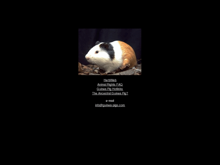 www.guinea-pigs.com