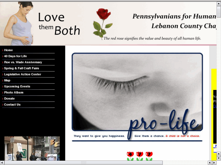 www.lebanoncountyprolife.org