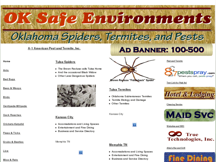 www.oksafe.com