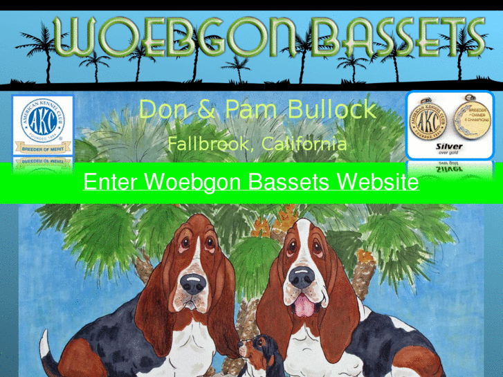 www.woebgonbassets.com