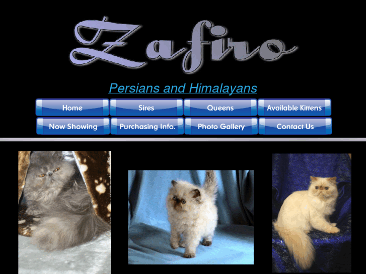 www.zafiropersians.com