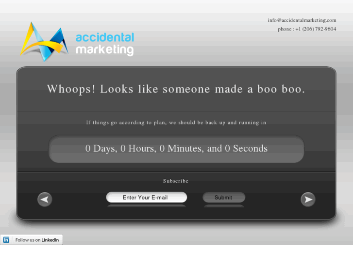 www.accidentalmarketing.com