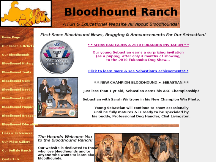 www.bloodhoundranch.com