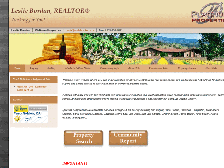 www.lesliebordan.com