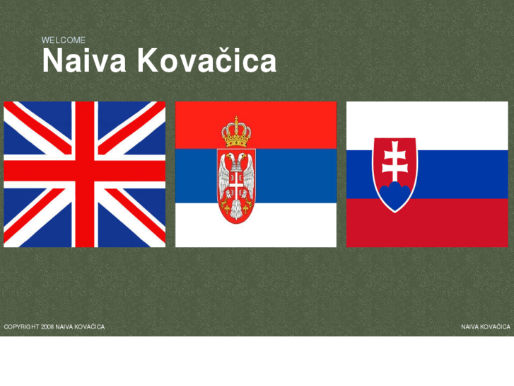 www.naivakovacica.com