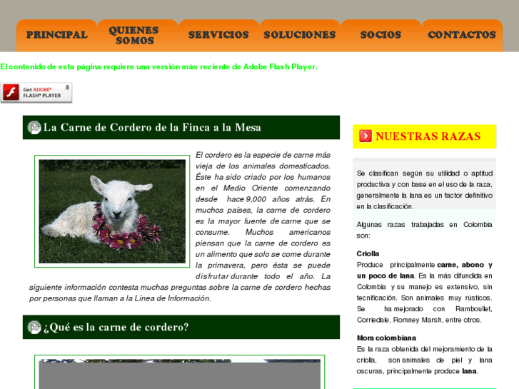 www.tzefira.net