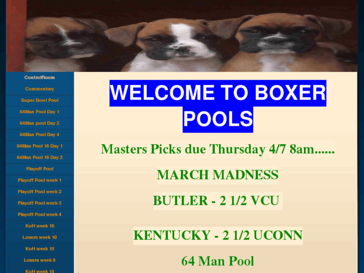 www.boxerpools.com