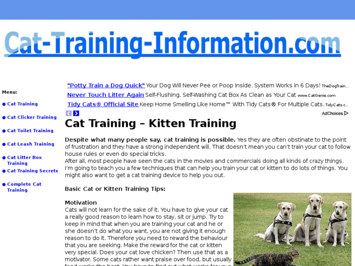 www.cat-training-information.com