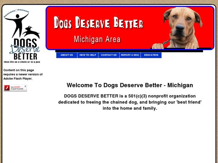 www.dogsdeservebettermichigan.org