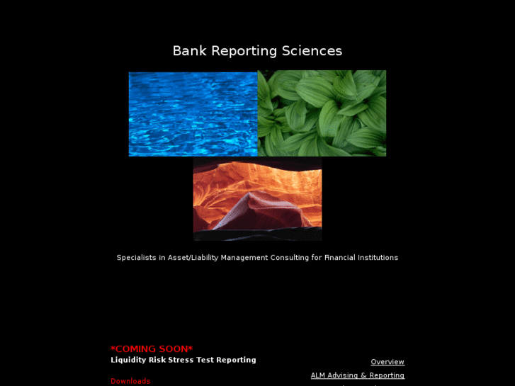 www.bankreportingsciences.com