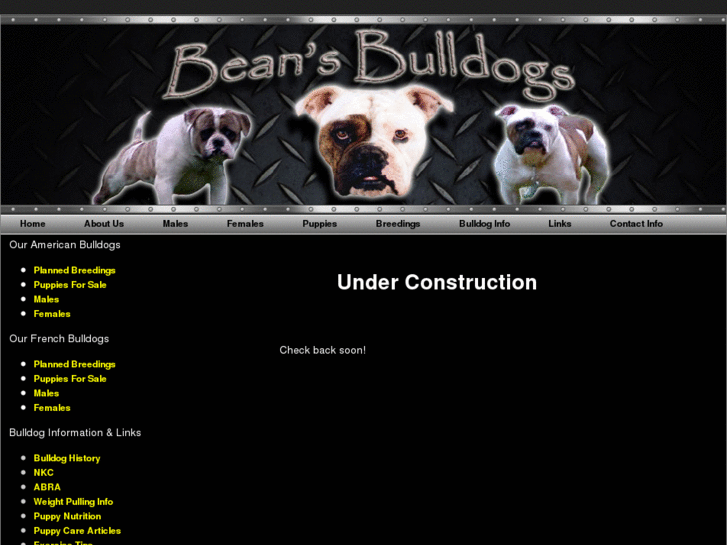 www.beansbullies.com