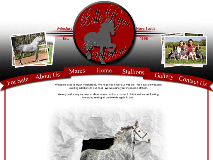 www.belleryanpercherons.com