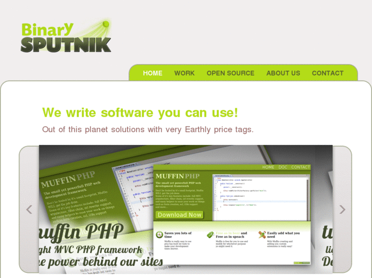 www.binarysputnik.com