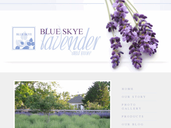 www.blueskyelavender.com