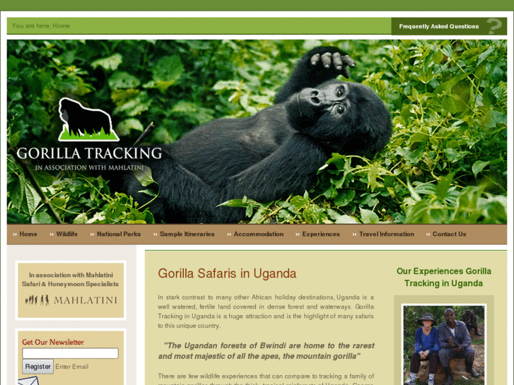 www.gorillatrackinguganda.com