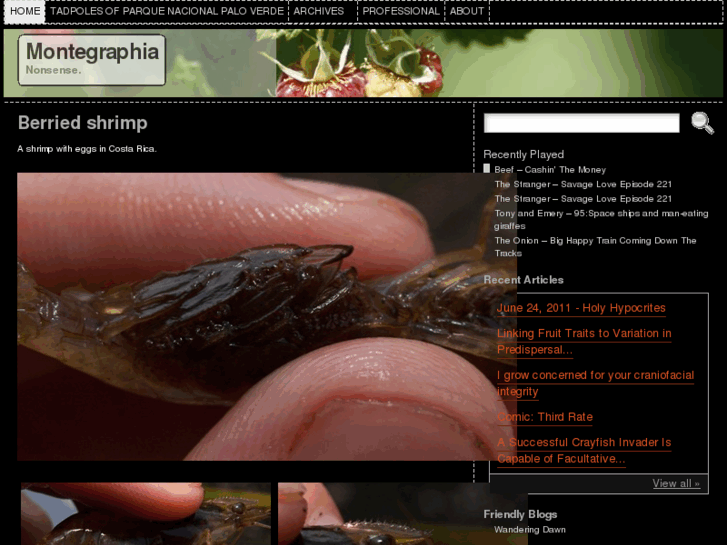 www.montegraphia.com