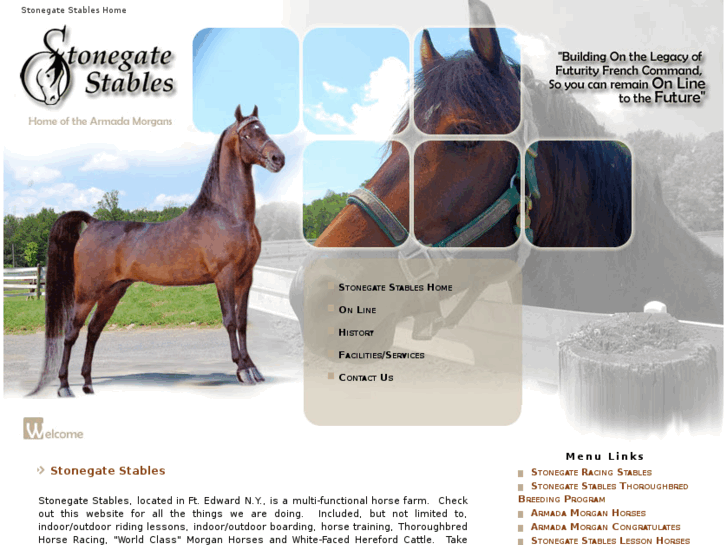 www.stonegatestables.net