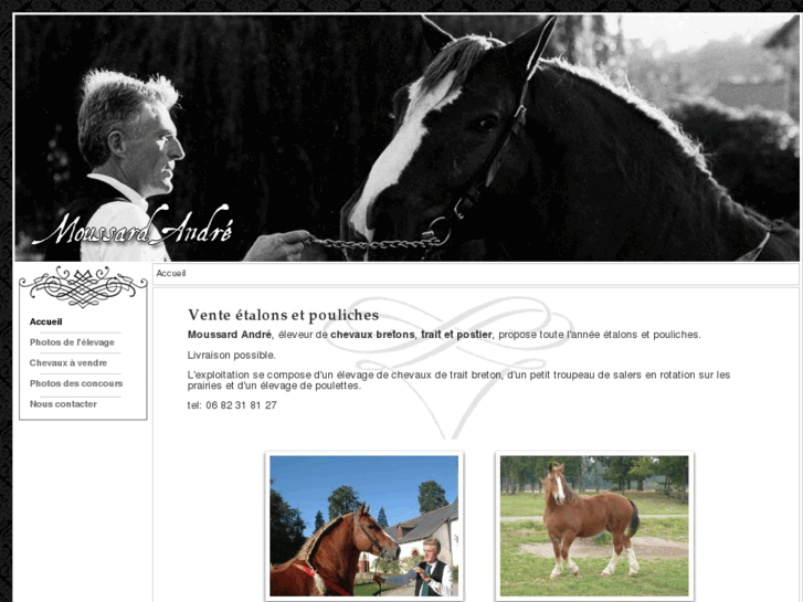 www.chevauxbretons.com