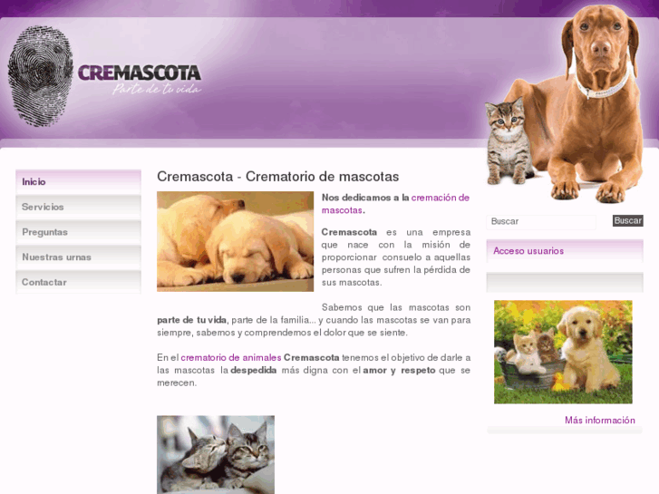 www.cremascota.com